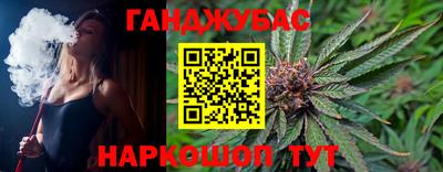 молекула духа Будённовск