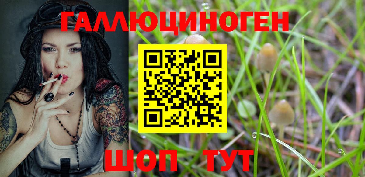 Псилоцибиновые грибы Cubensis Сертолово