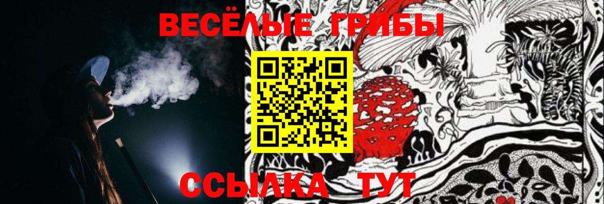 Псилоцибиновые грибы MAGIC MUSHROOMS  Вход с VPN  наркотики  Сертолово 